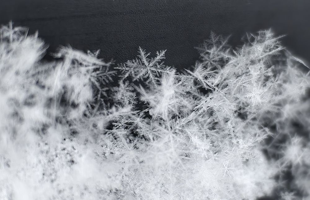 Photograph by Ольга Адольф