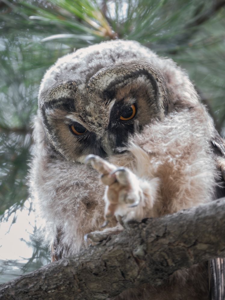 Photograph by Дудников Александр