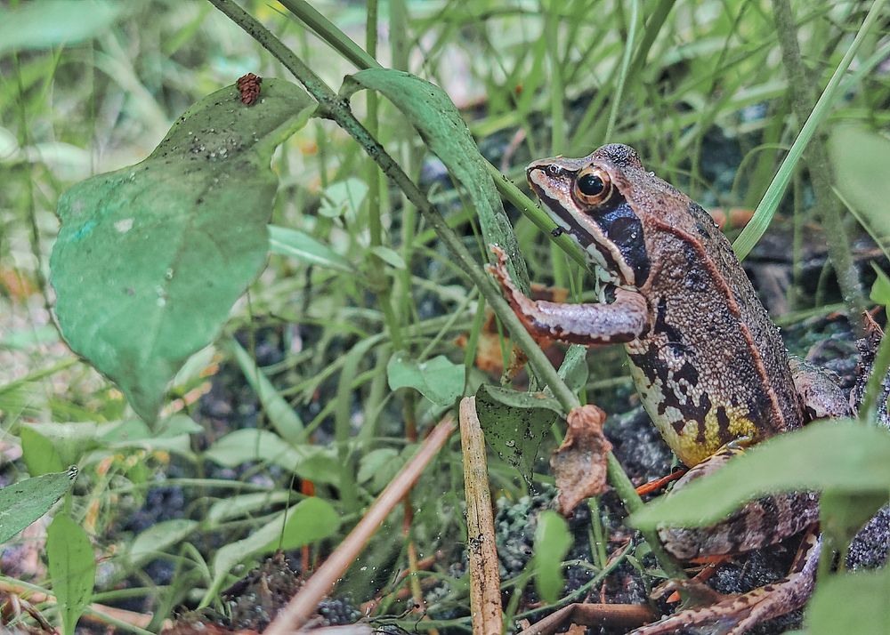 Photograph by Дмитрий Фетисов