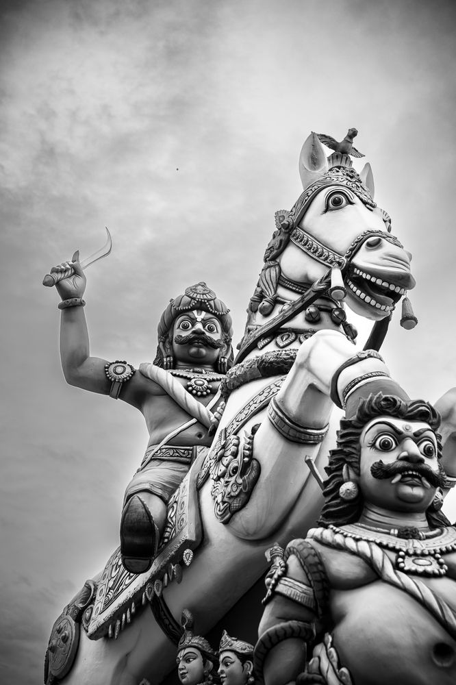 Фотография автора rahul