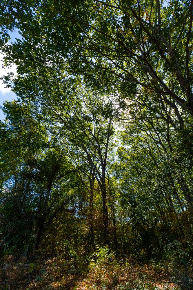 Photograph by Gerson Ricardo Costa Farias