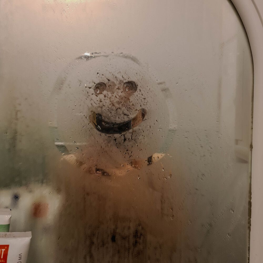 Фотография автора Ирина Дашевская