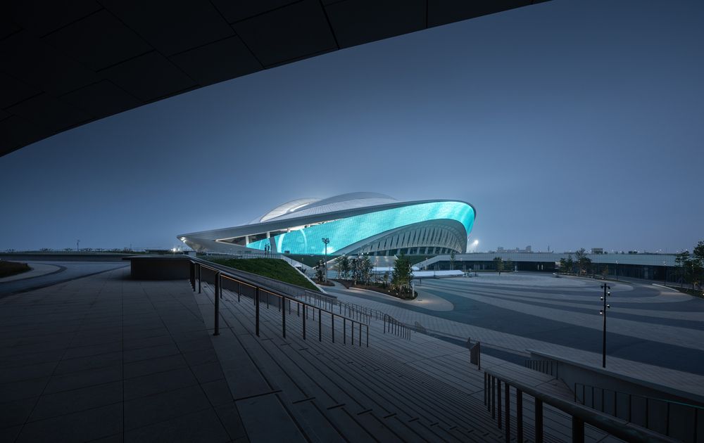 Egret Wings Toward Tomorrow