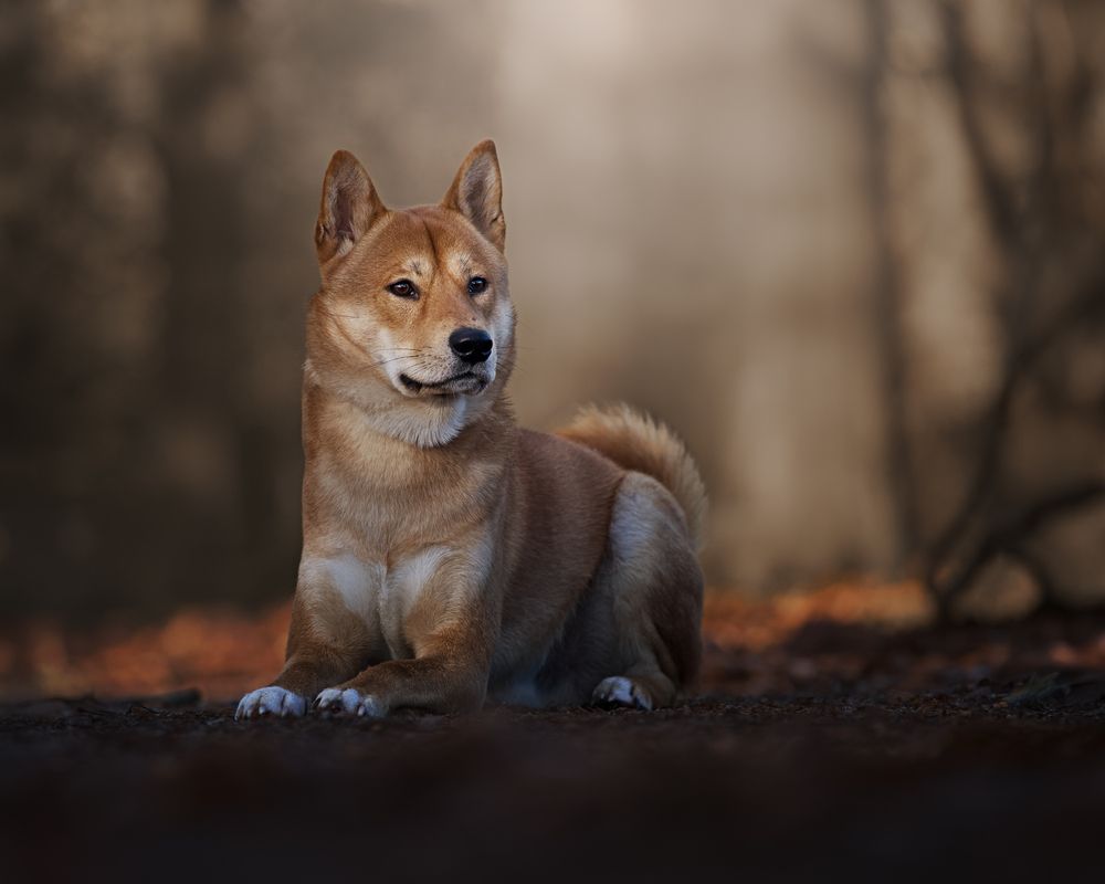 Photograph by Natalie Taylor