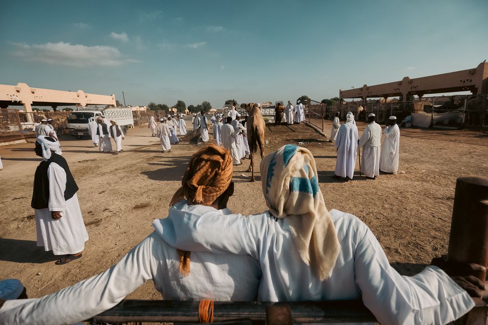 Photograph by Mark Frederick Jereos