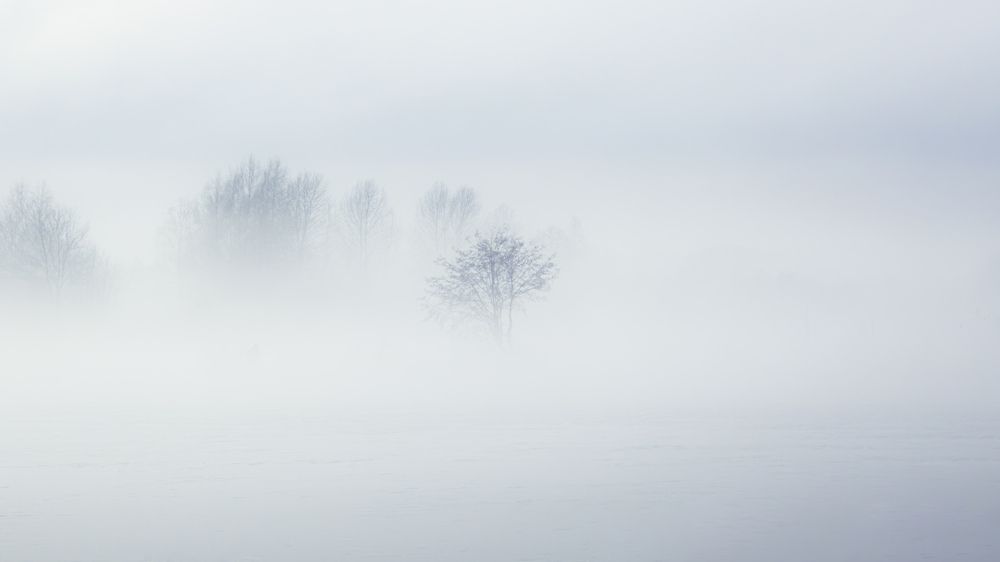 Photograph by Парфентьев Антон