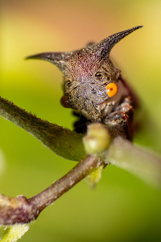 Фотография автора rahul