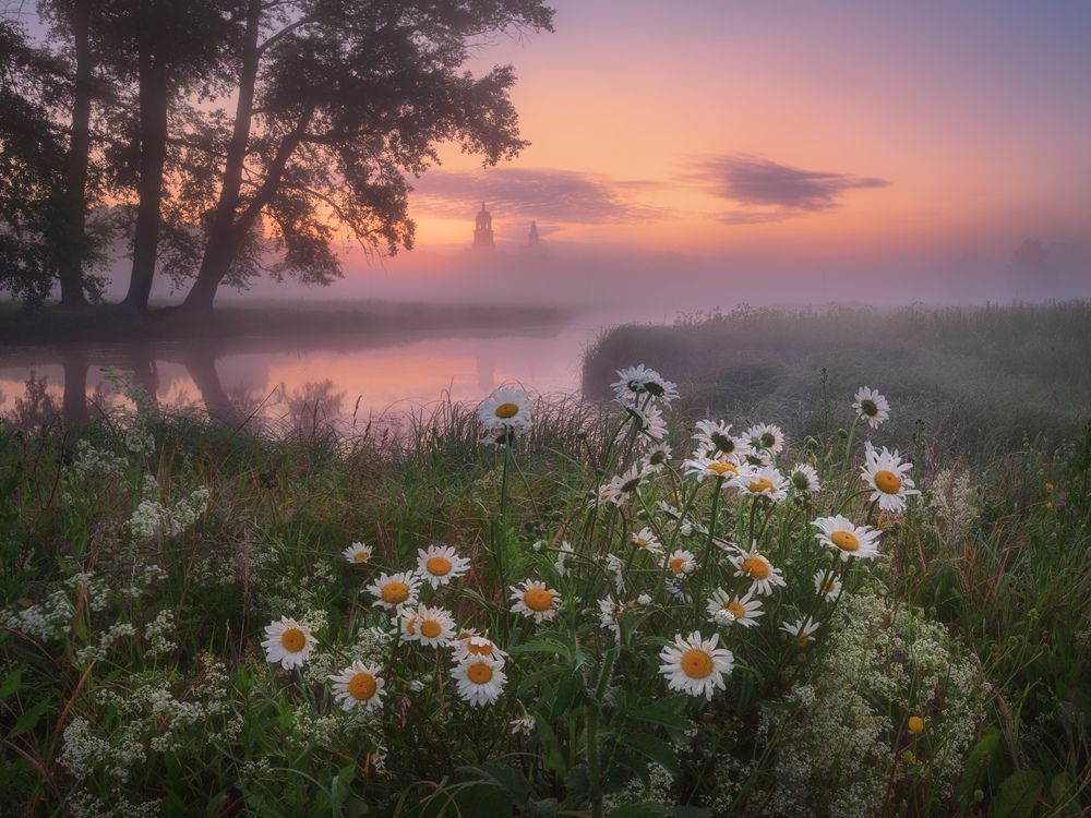 Фотография автора Медянцев Дмитрий