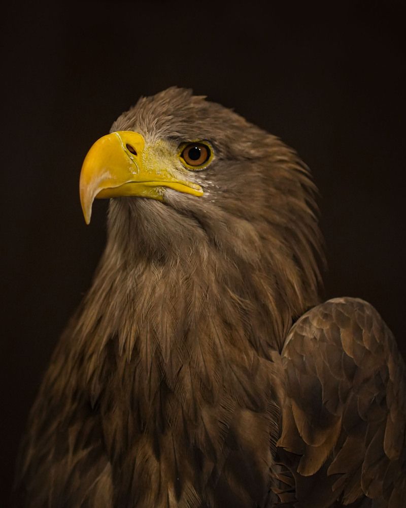 Photograph by Юрий Юрьевич Подгрушный