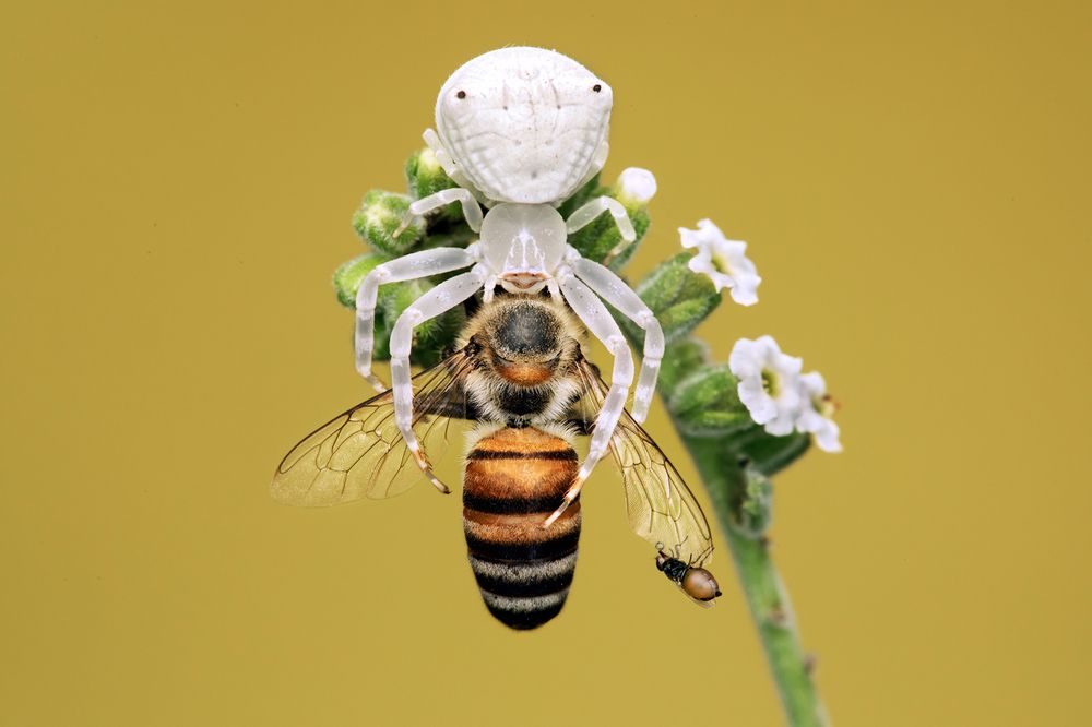 Photograph by ghaniya Almajrafi