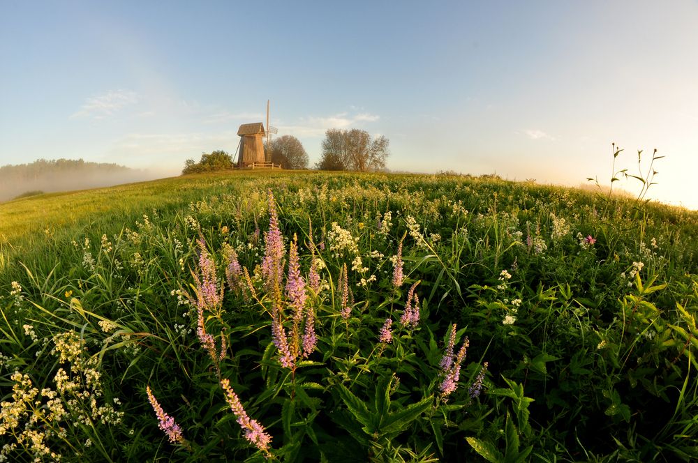 Photograph by Юрий Яковлев