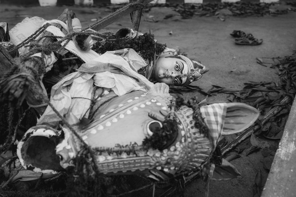 Фотография автора rahul