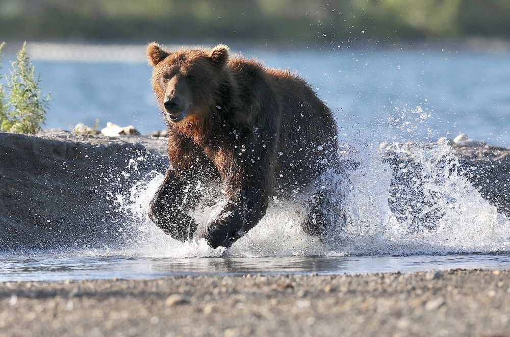 Photograph by Леонид Голубков