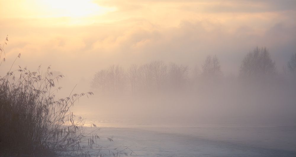 Photograph by Парфентьев Антон