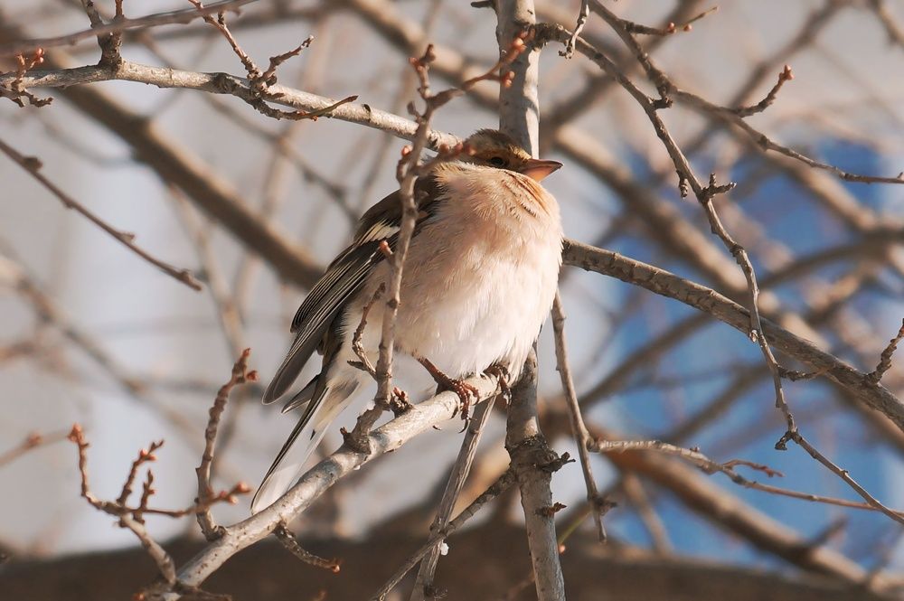 Фотография автора Margarita Teterkina