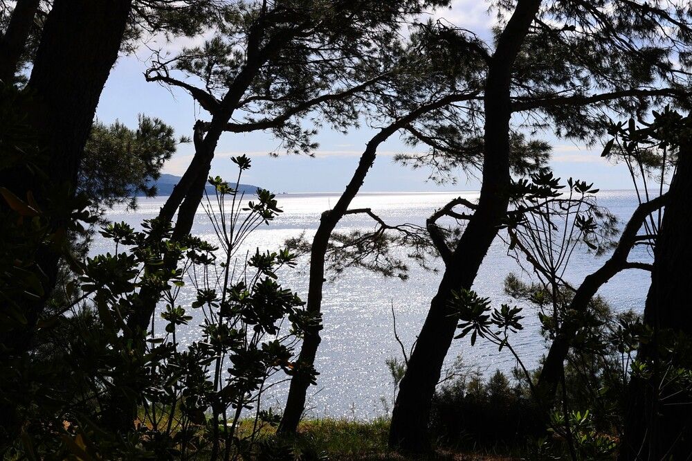 Утреннее безмолвие