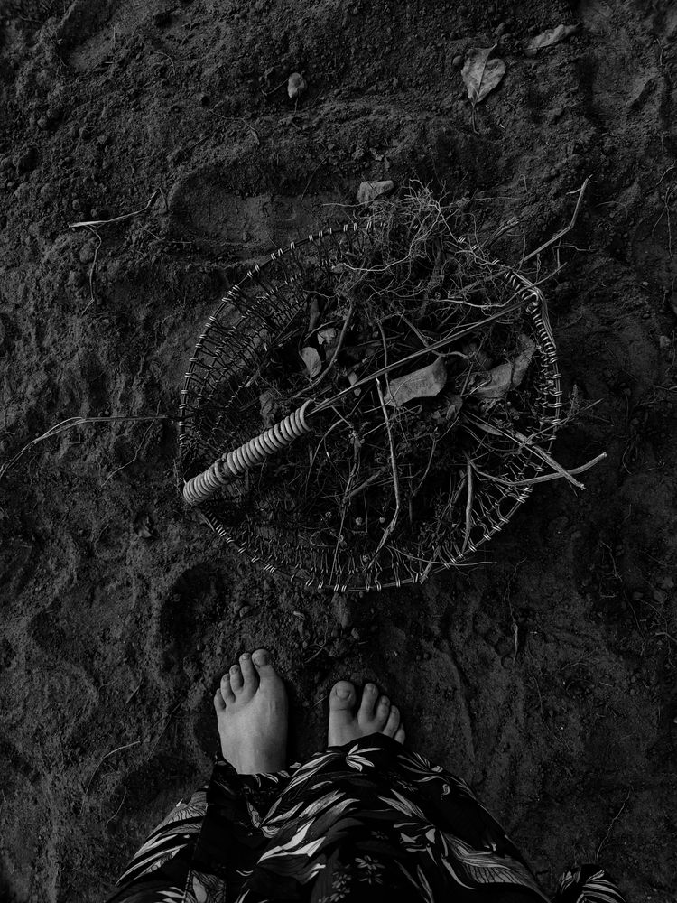 Фотография автора Ирина Романовская