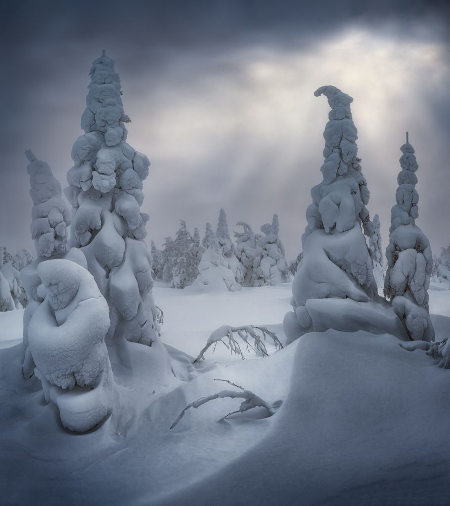 Фотография автора Медянцев Дмитрий