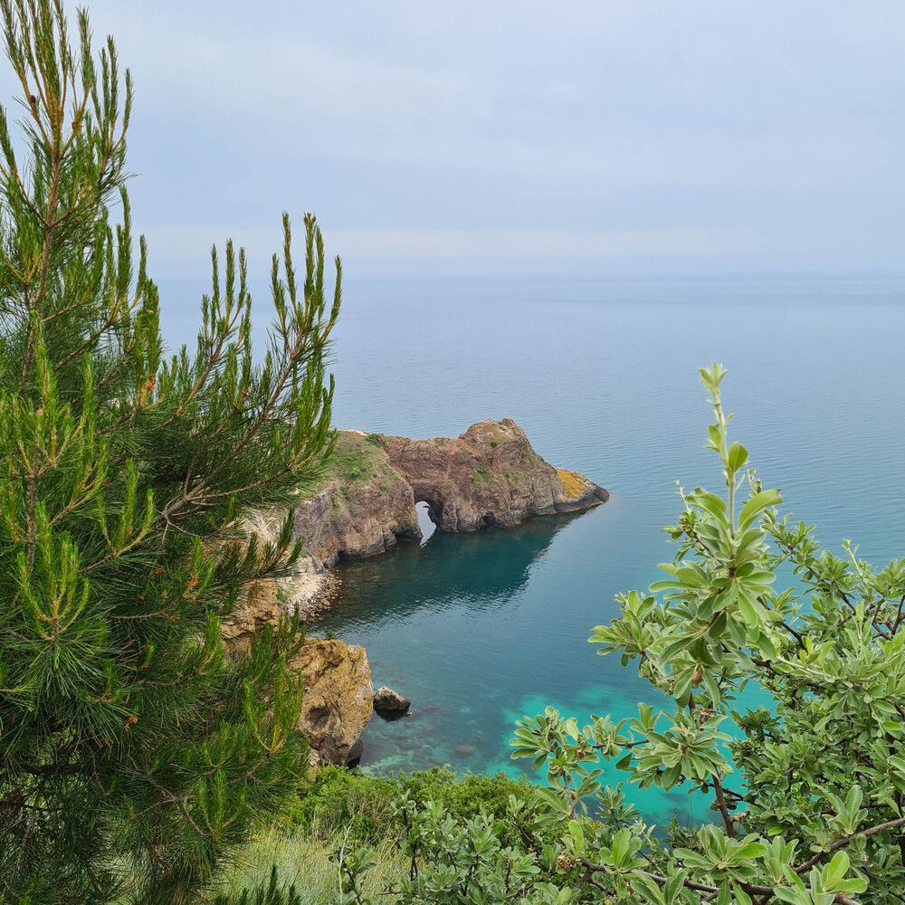 Фотография автора Ирина Дашевская