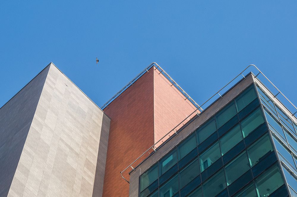 Photograph by seyed mostafa yousefi