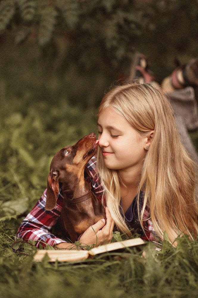 Под рябинкой