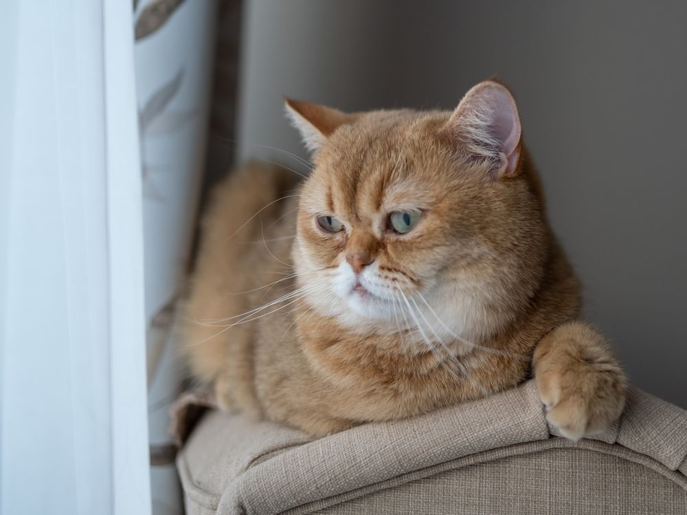 Photograph by Олег Дорошенко