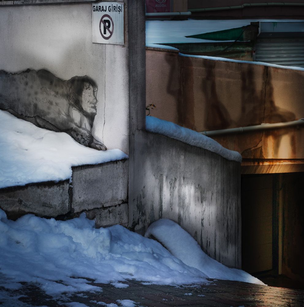 Photograph by Samineh Amel Sayyah