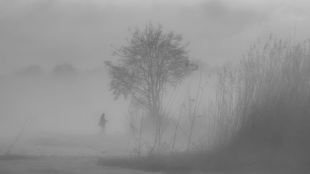 Photograph by Парфентьев Антон