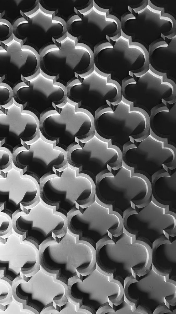 Photograph by Амирова Анар