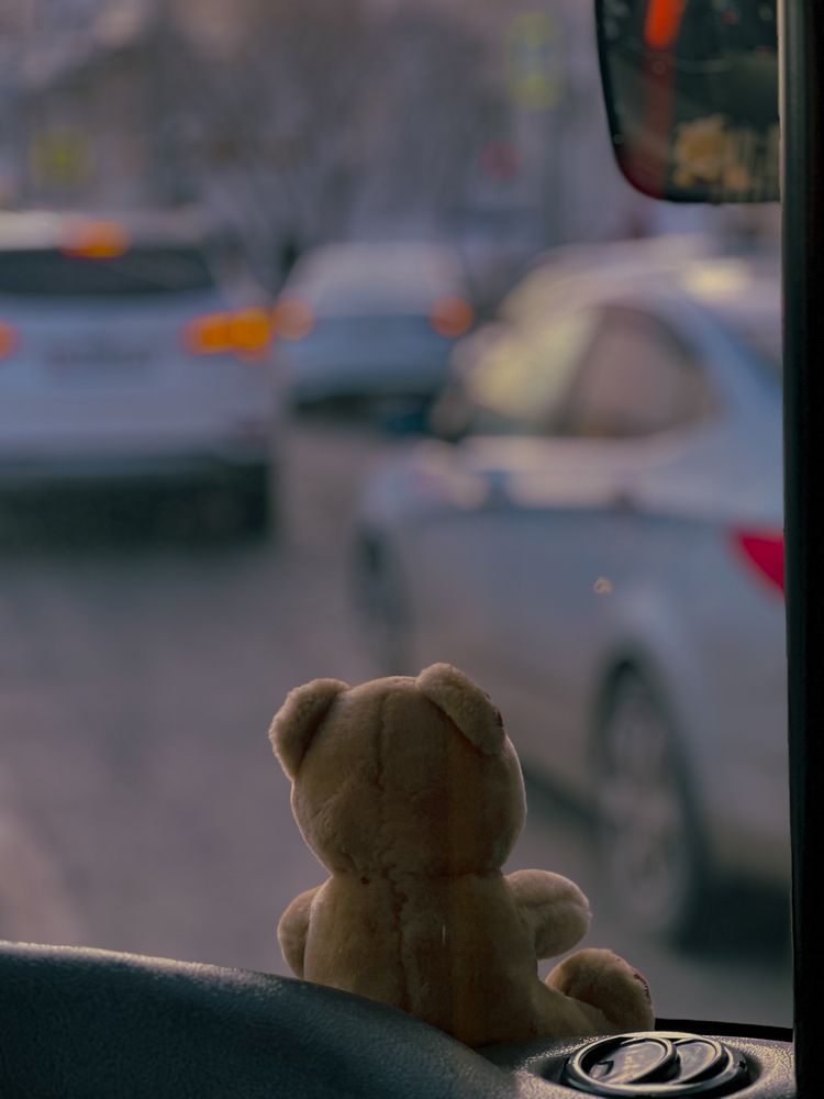 Photograph by Elvira