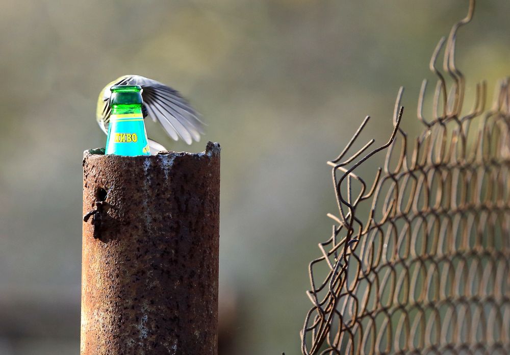 Photograph by Виктор Масальский