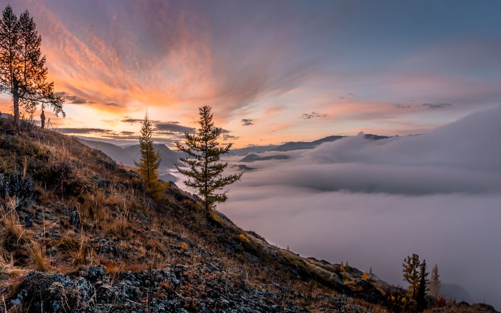 Photograph by Devender Mark