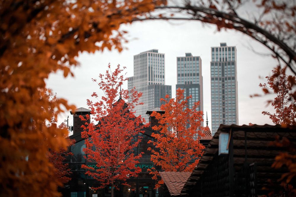 Photograph by Александр Ермаченко