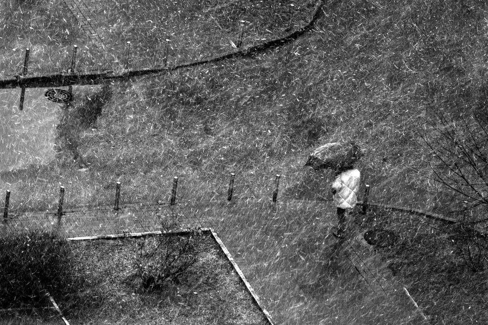 Photograph by Денис Труфанов