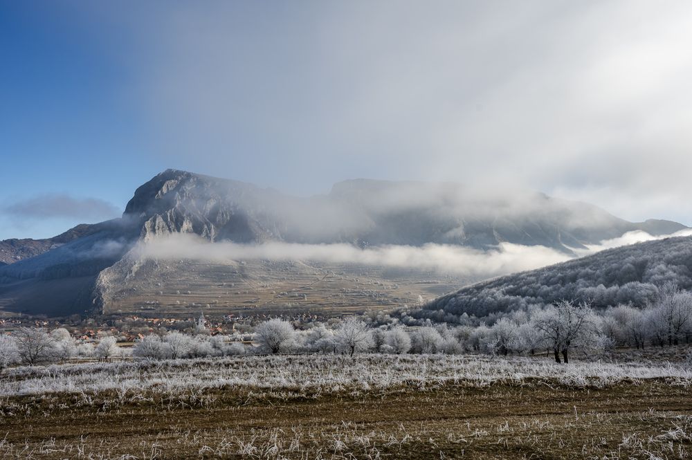 Photograph by levi bagy