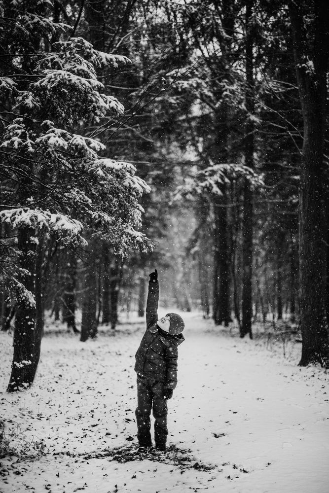 Photograph by Sandra Tines