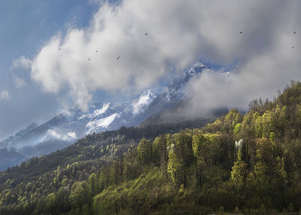 Photograph by Жанна Агафонова