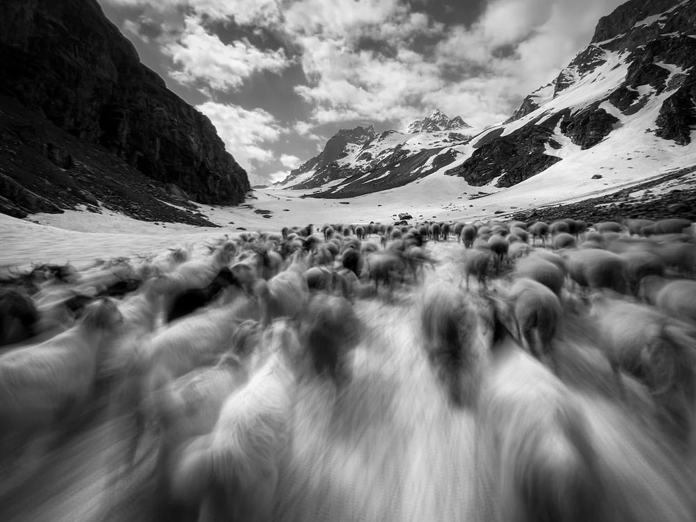 Photograph by Sandeep Mishra