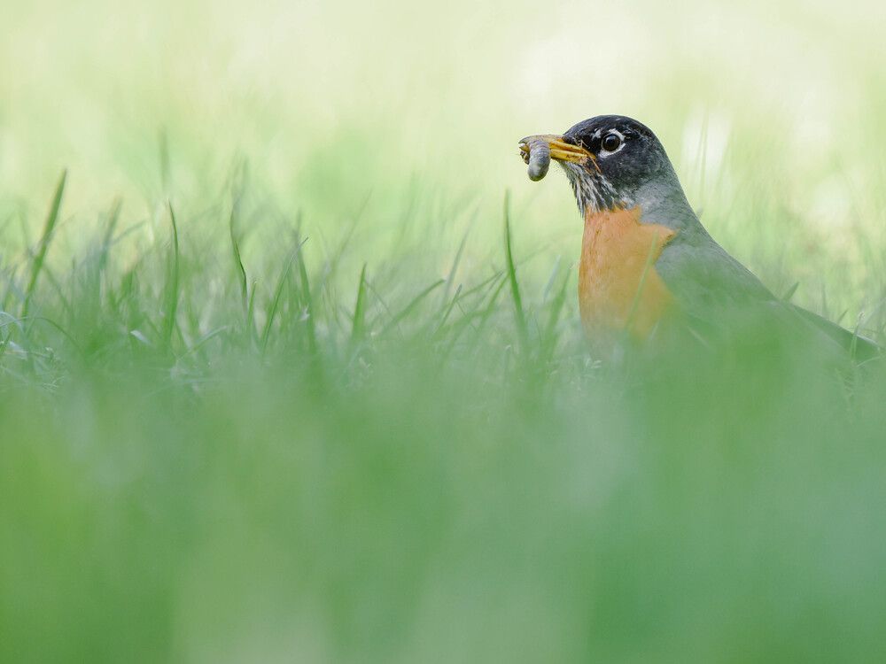 Photograph by Antara Chakravarty