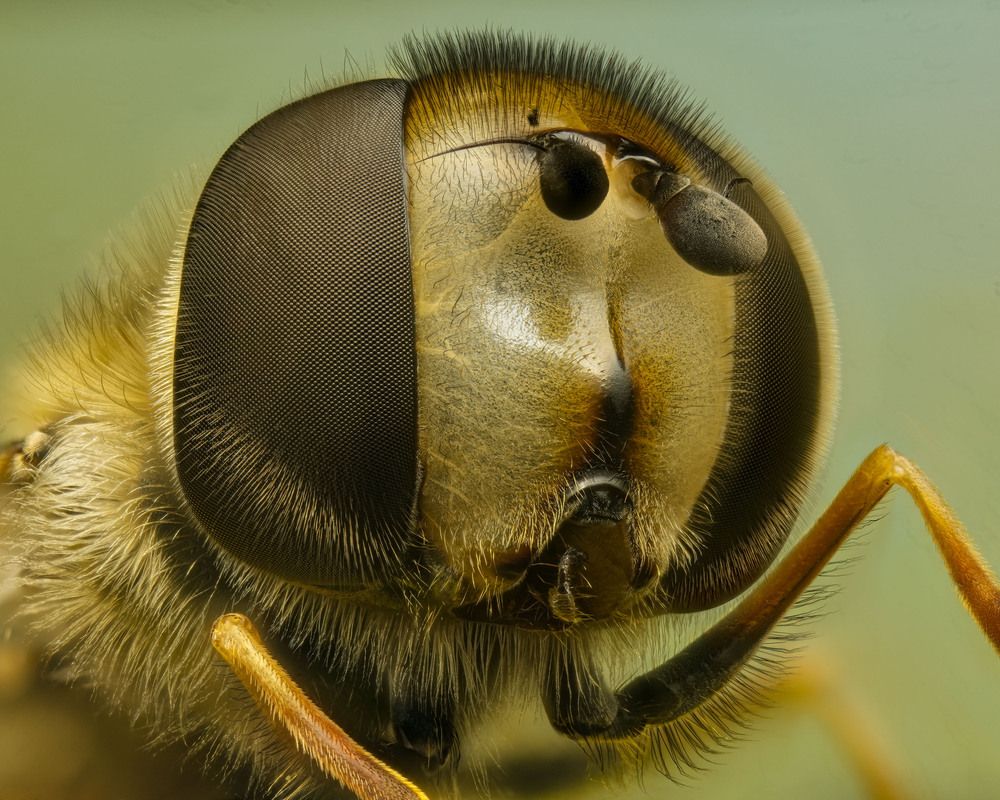 Photograph by Юрий Юрьевич Подгрушный