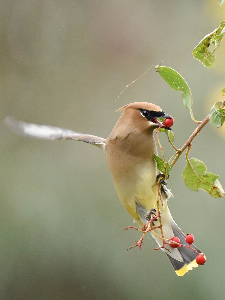Photograph by Antara Chakravarty