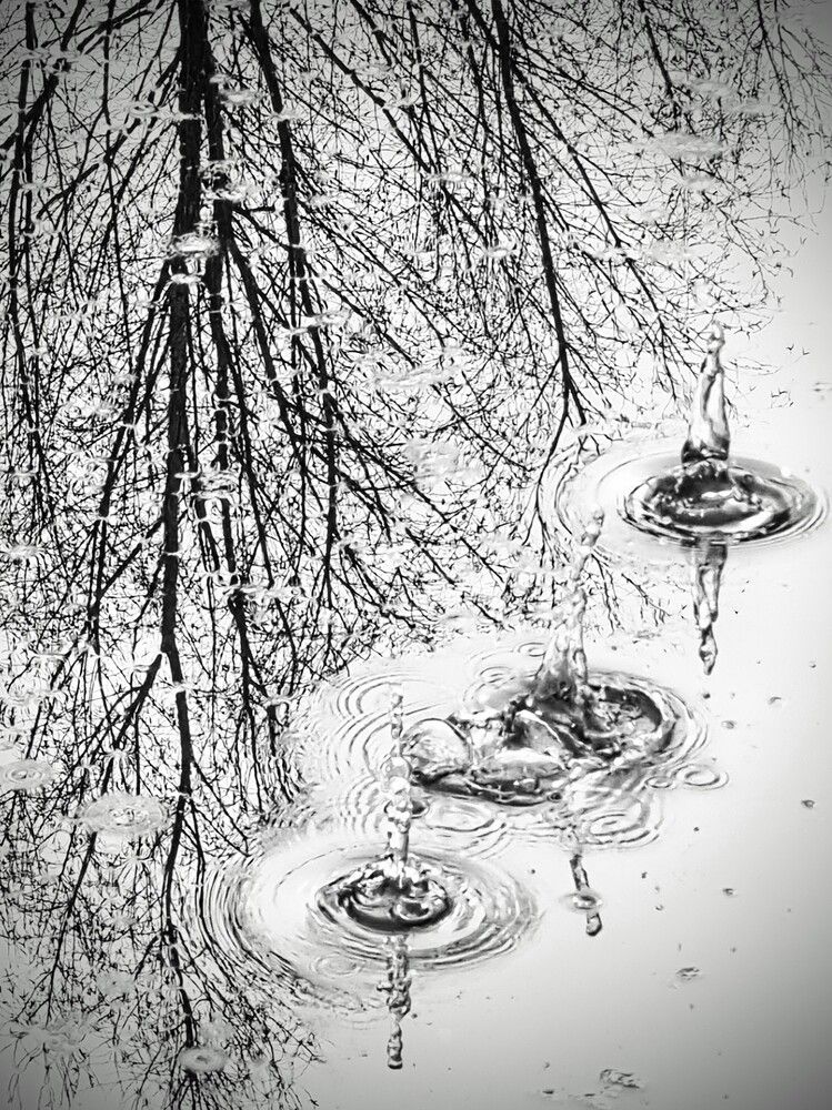 Photograph by Diego Moyano