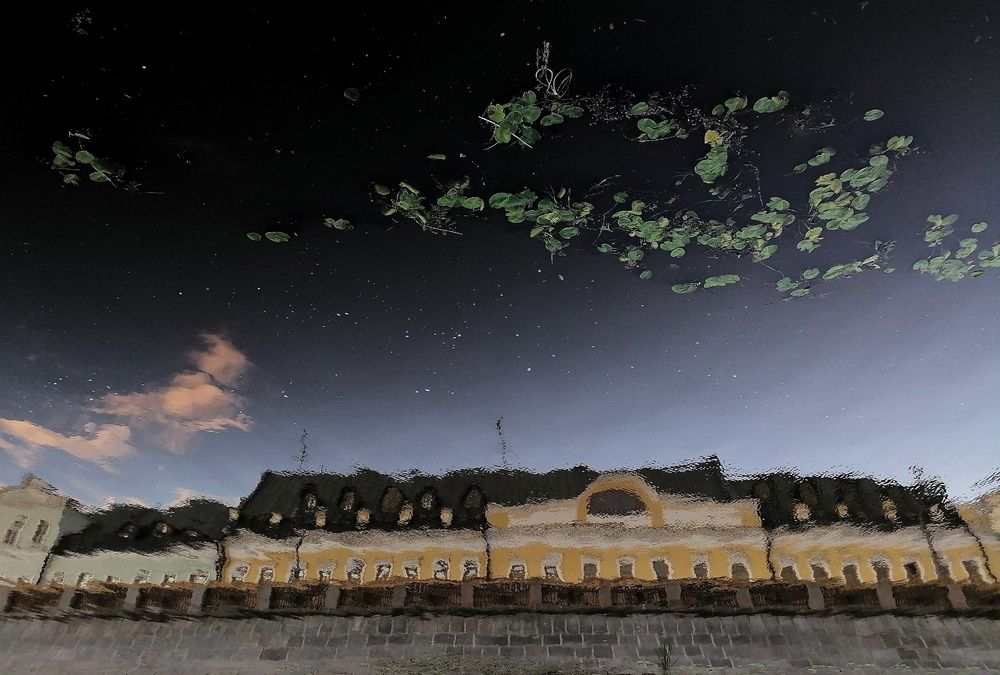 Фотография автора Сусанна Галоян