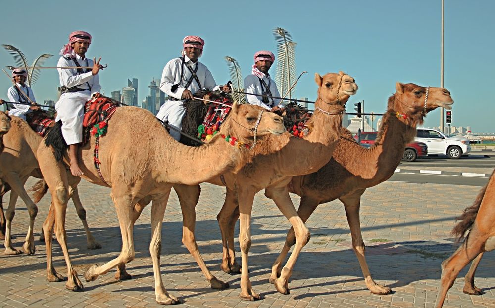 Фотография автора Рожнов Кирилл