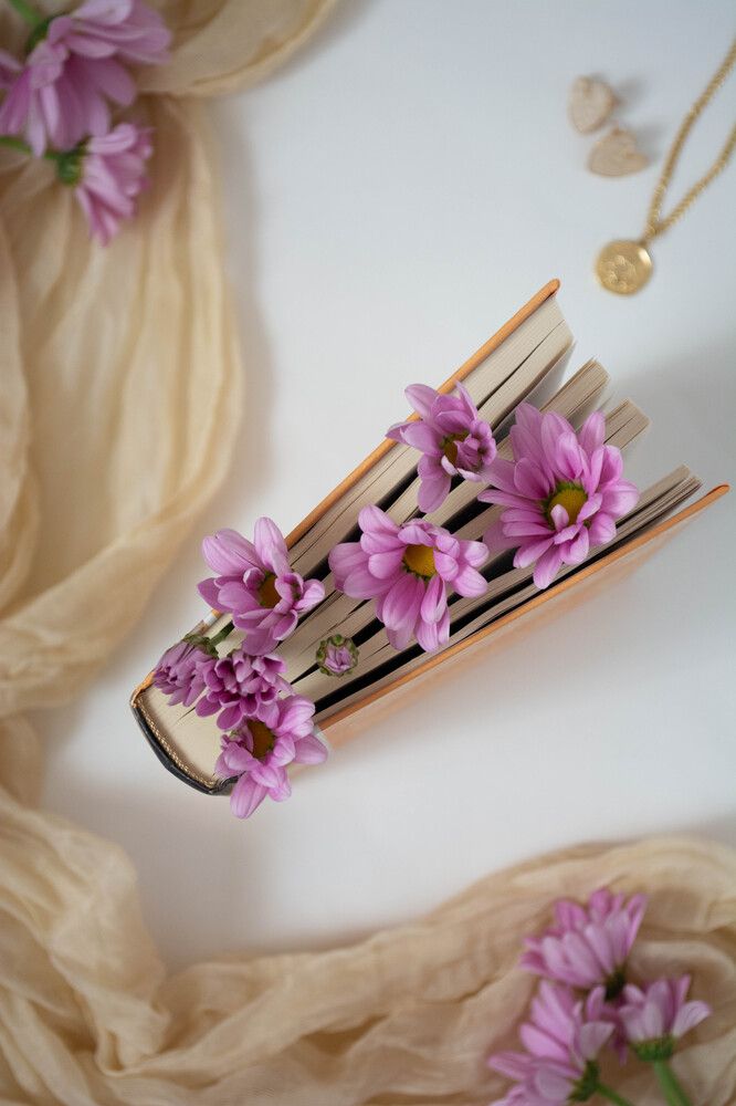 Фотография автора Ирина Дашевская