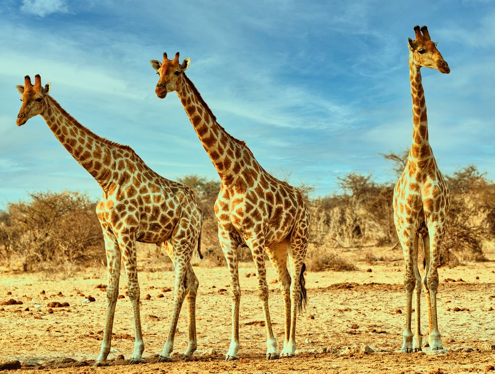 Photograph by Владимир Луценко