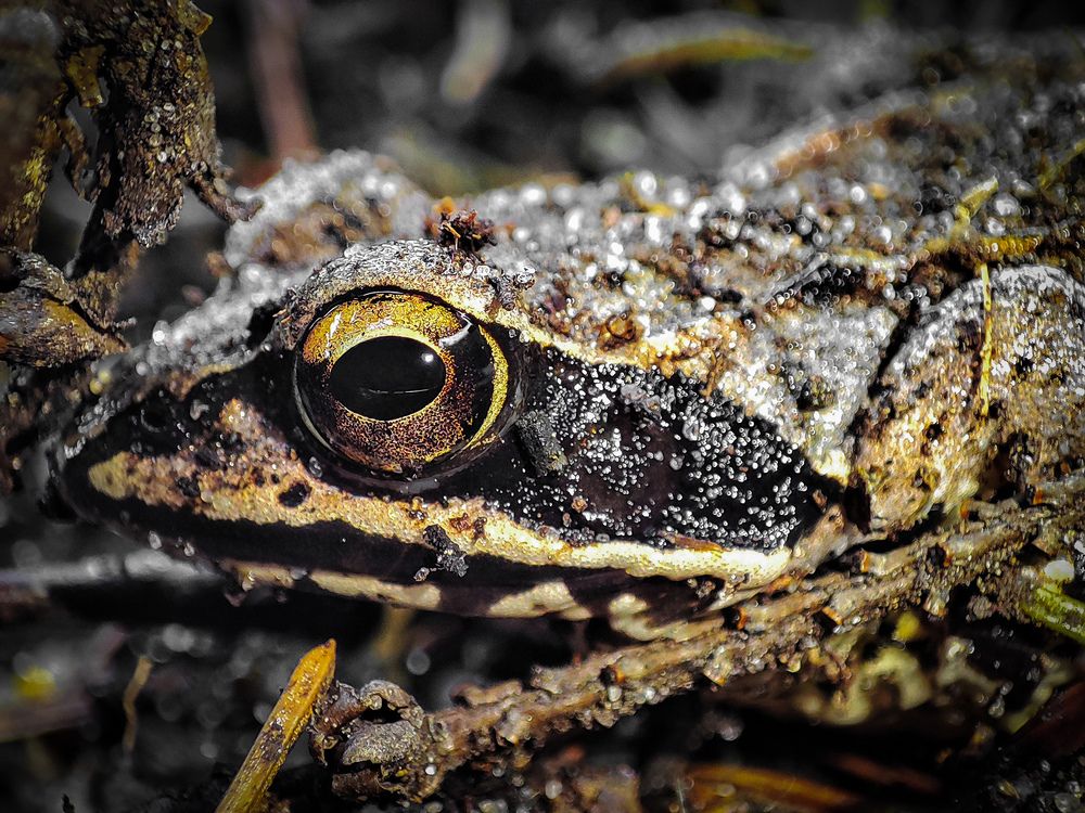 Photograph by Дмитрий Фетисов