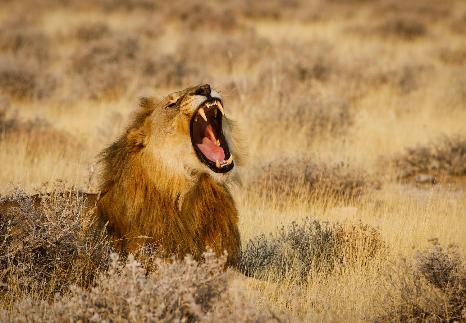 Фотография #12016140