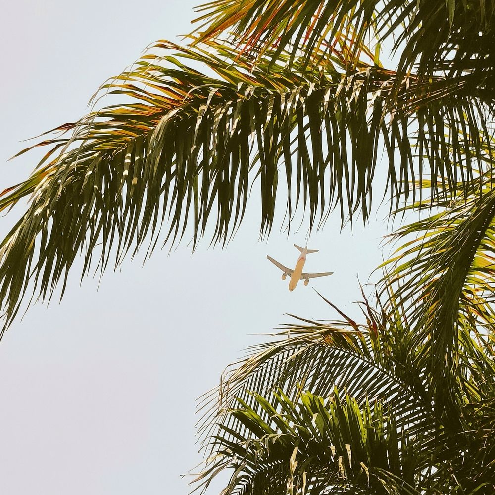Photograph by Rohit Singh