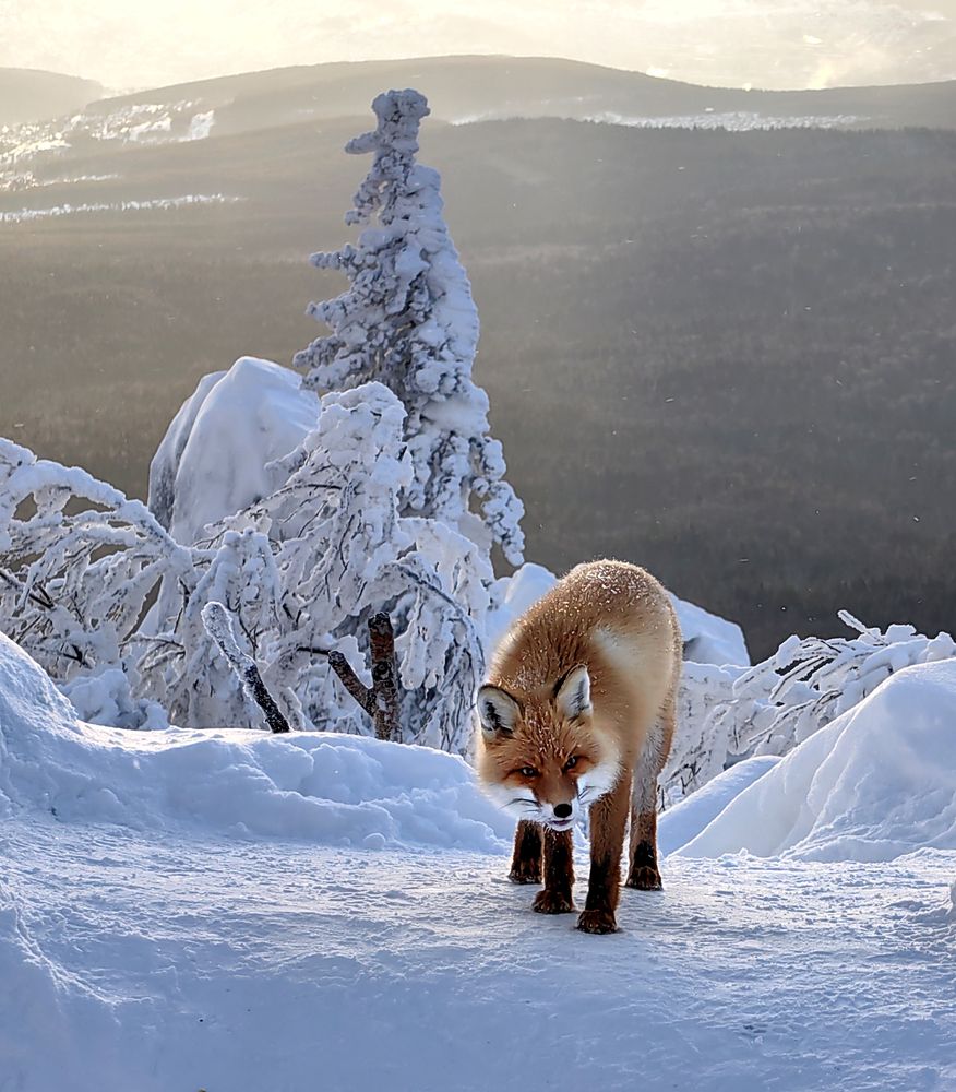 Фотография автора Кухта Мария